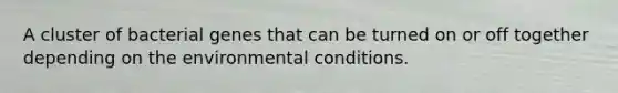 A cluster of bacterial genes that can be turned on or off together depending on the environmental conditions.