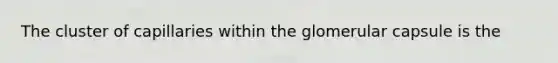 The cluster of capillaries within the glomerular capsule is the