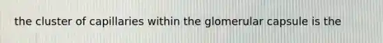 the cluster of capillaries within the glomerular capsule is the