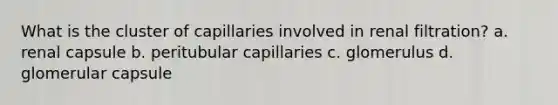 What is the cluster of capillaries involved in renal filtration? a. renal capsule b. peritubular capillaries c. glomerulus d. glomerular capsule