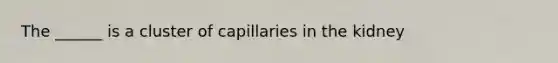 The ______ is a cluster of capillaries in the kidney