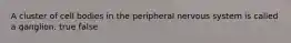 A cluster of cell bodies in the peripheral nervous system is called a ganglion. true false