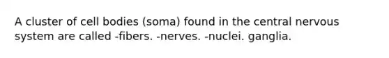 A cluster of cell bodies (soma) found in the central nervous system are called -fibers. -nerves. -nuclei. ganglia.