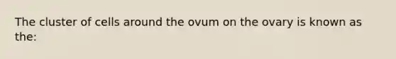 The cluster of cells around the ovum on the ovary is known as the: