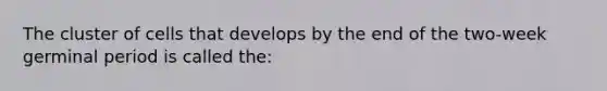 The cluster of cells that develops by the end of the two-week germinal period is called the: