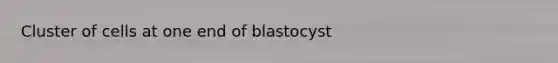 Cluster of cells at one end of blastocyst