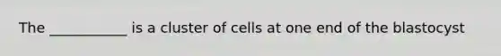 The ___________ is a cluster of cells at one end of the blastocyst