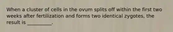 When a cluster of cells in the ovum splits off within the first two weeks after fertilization and forms two identical zygotes, the result is __________.