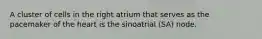 A cluster of cells in the right atrium that serves as the pacemaker of the heart is the sinoatrial (SA) node.