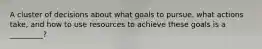 A cluster of decisions about what goals to pursue, what actions take, and how to use resources to achieve these goals is a _________?