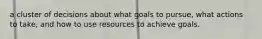 a cluster of decisions about what goals to pursue, what actions to take, and how to use resources to achieve goals.