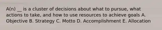 A(n) __ is a cluster of decisions about what to pursue, what actions to take, and how to use resources to achieve goals A. Objective B. Strategy C. Motto D. Accomplishment E. Allocation