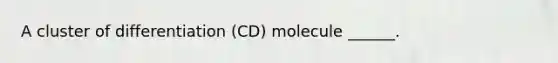 A cluster of differentiation (CD) molecule ______.