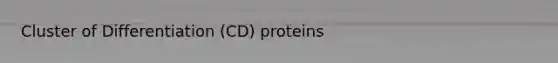 Cluster of Differentiation (CD) proteins