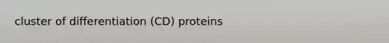 cluster of differentiation (CD) proteins