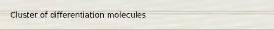 Cluster of differentiation molecules