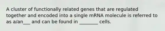 A cluster of functionally related genes that are regulated together and encoded into a single mRNA molecule is referred to as a/an___ and can be found in ________ cells.