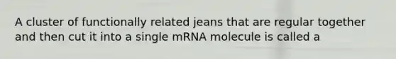 A cluster of functionally related jeans that are regular together and then cut it into a single mRNA molecule is called a