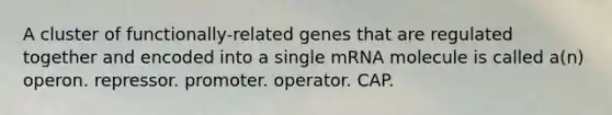 A cluster of functionally-related genes that are regulated together and encoded into a single mRNA molecule is called a(n) operon. repressor. promoter. operator. CAP.