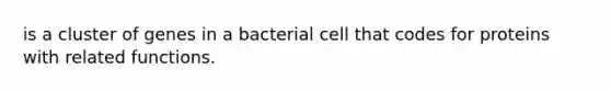 is a cluster of genes in a bacterial cell that codes for proteins with related functions.