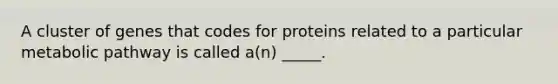 A cluster of genes that codes for proteins related to a particular metabolic pathway is called a(n) _____.