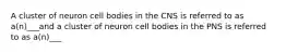 A cluster of neuron cell bodies in the CNS is referred to as a(n)___and a cluster of neuron cell bodies in the PNS is referred to as a(n)___