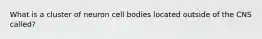 What is a cluster of neuron cell bodies located outside of the CNS called?