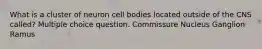 What is a cluster of neuron cell bodies located outside of the CNS called? Multiple choice question. Commissure Nucleus Ganglion Ramus