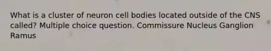 What is a cluster of neuron cell bodies located outside of the CNS called? Multiple choice question. Commissure Nucleus Ganglion Ramus