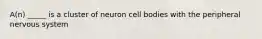 A(n) _____ is a cluster of neuron cell bodies with the peripheral nervous system