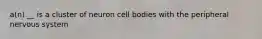 a(n) __ is a cluster of neuron cell bodies with the peripheral nervous system