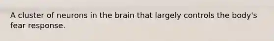 A cluster of neurons in <a href='https://www.questionai.com/knowledge/kLMtJeqKp6-the-brain' class='anchor-knowledge'>the brain</a> that largely controls the body's fear response.