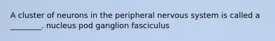 A cluster of neurons in the peripheral nervous system is called a ________. nucleus pod ganglion fasciculus