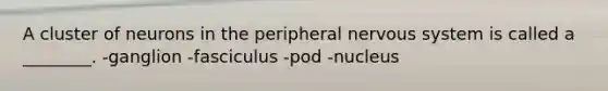 A cluster of neurons in the peripheral nervous system is called a ________. -ganglion -fasciculus -pod -nucleus