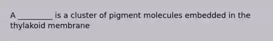 A _________ is a cluster of pigment molecules embedded in the thylakoid membrane