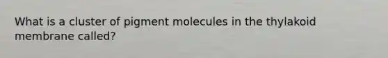 What is a cluster of pigment molecules in the thylakoid membrane called?