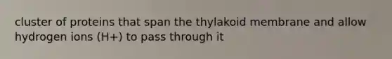 cluster of proteins that span the thylakoid membrane and allow hydrogen ions (H+) to pass through it