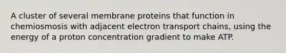 A cluster of several membrane proteins that function in chemiosmosis with adjacent electron transport chains, using the energy of a proton concentration gradient to make ATP.