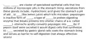 -_____ ______ are cluster of specialized epithelial cells that line millions of microscopic pits in the stomach lining -secretions from these glands include: -hydrochloric acid gives the stomach a pH of abt _ to ____(like lemon juice) which kills microbes -pepsinogen is inactive form of _____, a type of ______(a protein-digesting enzyme that breaks proteins into shorter chains of a.a. called _______) -stomachs acidity converts pepsiogen into _____(bc if pepsin itself were secreted it would digest cells that synthesize it) -____ secreted by gastric gland cells coats the stomach lining and serves as barrier to self-digestion (not always effective-ulcers)