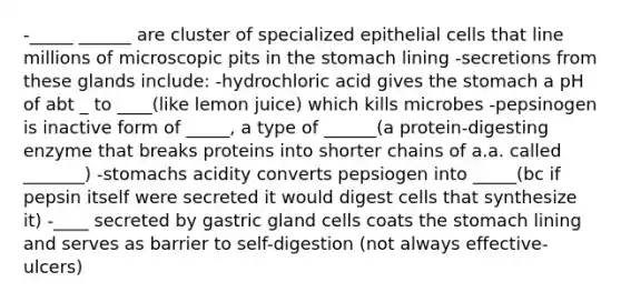 -_____ ______ are cluster of specialized epithelial cells that line millions of microscopic pits in the stomach lining -secretions from these glands include: -hydrochloric acid gives the stomach a pH of abt _ to ____(like lemon juice) which kills microbes -pepsinogen is inactive form of _____, a type of ______(a protein-digesting enzyme that breaks proteins into shorter chains of a.a. called _______) -stomachs acidity converts pepsiogen into _____(bc if pepsin itself were secreted it would digest cells that synthesize it) -____ secreted by gastric gland cells coats the stomach lining and serves as barrier to self-digestion (not always effective-ulcers)