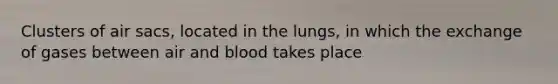 Clusters of air sacs, located in the lungs, in which the exchange of gases between air and blood takes place