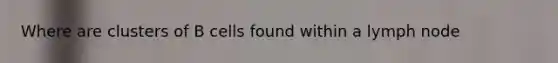 Where are clusters of B cells found within a lymph node