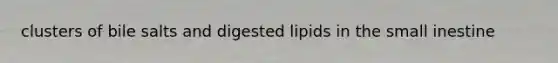 clusters of bile salts and digested lipids in the small inestine