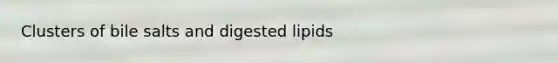 Clusters of bile salts and digested lipids