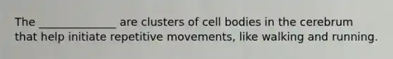 The ______________ are clusters of cell bodies in the cerebrum that help initiate repetitive movements, like walking and running.