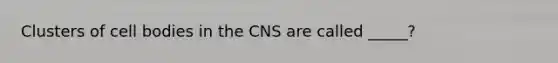 Clusters of cell bodies in the CNS are called _____?