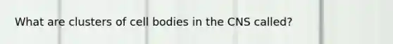 What are clusters of cell bodies in the CNS called?