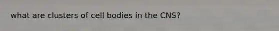 what are clusters of cell bodies in the CNS?