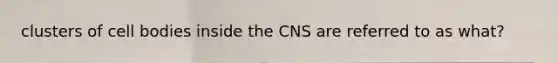 clusters of cell bodies inside the CNS are referred to as what?