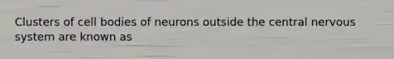 Clusters of cell bodies of neurons outside the central nervous system are known as